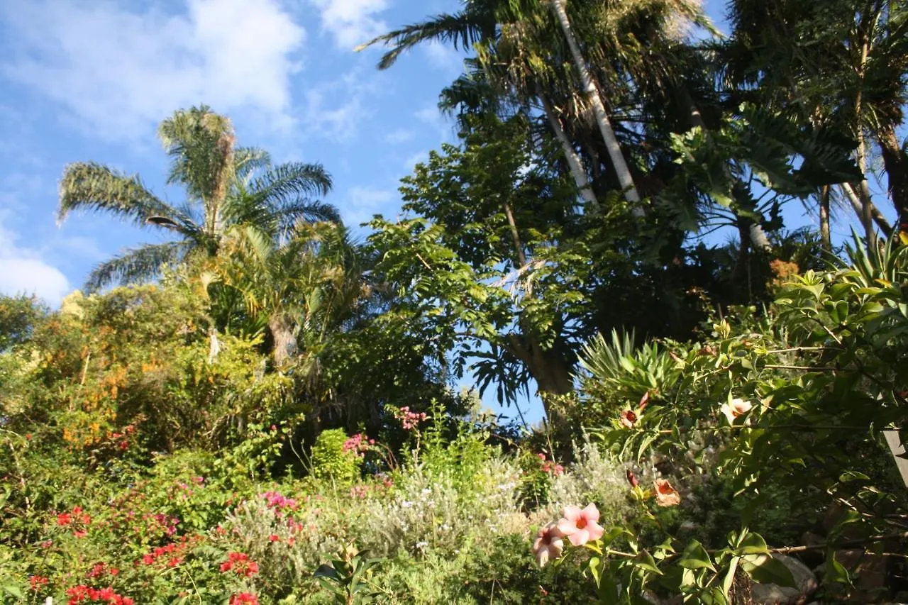 Noosa Hinterland Spectacular Boutique Guesthouse Cooran Australia