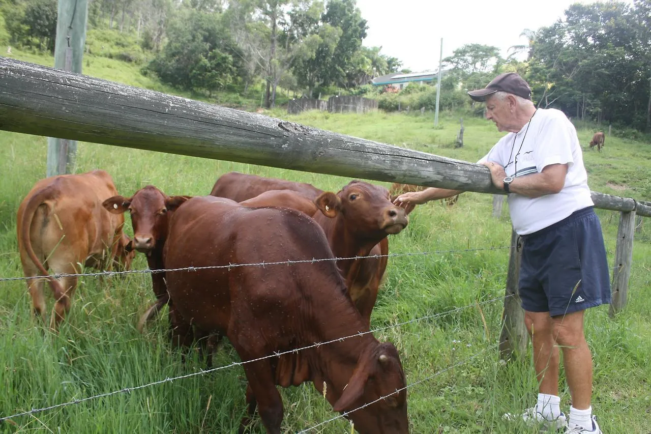 Noosa Hinterland Spectacular Boutique Guesthouse Cooran Penzion
